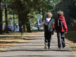 Занятия для первой смены в школах Ставрополья прекращены из-за беспилотной опасности 23 апреля