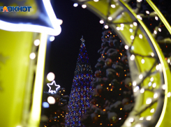 Новогодняя ярмарка появится с 15 декабря в центре Ставрополя