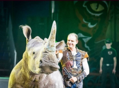 Уникальный цирк с белыми тиграми и дрессированным носорогом приехал в Ставрополь