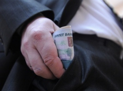 Доходы депутатов Госдумы: Ольга Казакова ходит пешком, а Юрий Эм купил «Мерседес»