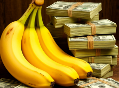 Банановый рай и миллиардные хищения терзали умы ставропольцев на последней неделе июня 