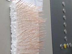 На Ставрополье установили противовирусного «ёжика»