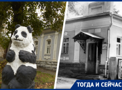 Сначала тут жил революционер, а теперь змеи: как сложилась судьба дома-музея Лопатиных в Ставрополе