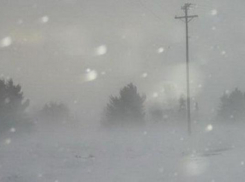 Сильная метель со шквалистым ветром обрушилась на Ставрополье