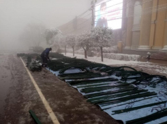 В центре Ставрополя начали установку новогодней елки