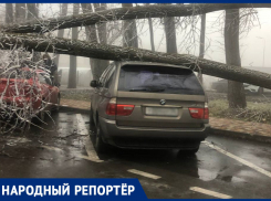 Ветер разломал деревья и повредил машины в Ставрополе