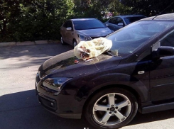 Полный мусорный пакет выкинули на капот перегородившей дорогу иномарке жители Ставрополя