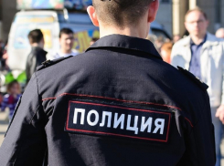 Полиция проводит проверку по факту отравления собак в СНТ Радонеж 