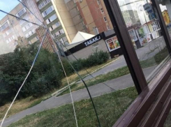 В Ставрополе вандалы разрушили остановку