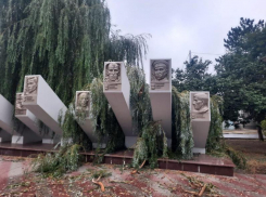 Сломавшаяся из-за непогоды ветка дерева накрыла памятник Героев Советского Союза в Светлограде 