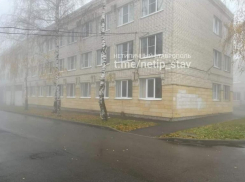 О замурованных в подвале животных вновь заявили жители Ставрополя
