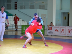 Ставропольские самбисты отметились на фестивале национальных боевых искусств