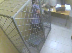 На Ставрополье задержанный набросился на следователя прямо на допросе