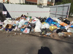 Жители двадцатиквартирного дома оставили без мусорки более десятка многоэтажек