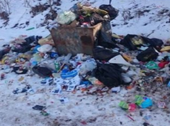 Двухнедельная свалка портит облик курортного города на Ставрополье