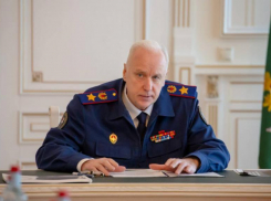 Глава Следкома РФ заинтересовался жестоким избиением подростка на Ставрополье