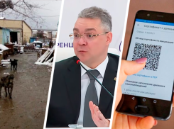 QR-кодам ― нет, скандальному терренкуру ― да, а приют выживает сам: о чем говорили на пресс-конференции губернатора Ставрополья