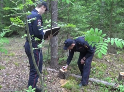 Ставропольских полицейских довели до суда наркотики и жадность