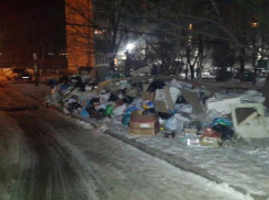 Горы мусора выросли во дворе многоэтажек Невинномысска