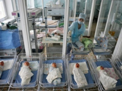 Рекордное количество детей родилось в 2016 году на Ставрополье