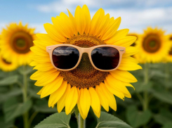 Опасный УФ-индекс в 10 баллов продолжит атаковать Ставрополье до конца недели