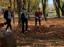 Жители раскритиковали мэра Железноводска за уборку парка