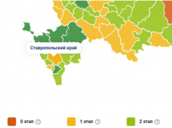 Желтое пятно на карте коронавируса: Ставрополье не может похвастаться хорошей эпидобстановкой