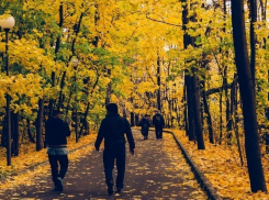 Солнечно, но прохладно будет в Ставрополе в субботу 