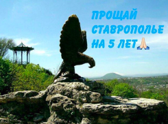 Разин назвал победу Владимирова глубоким несчастьем для Ставрополья