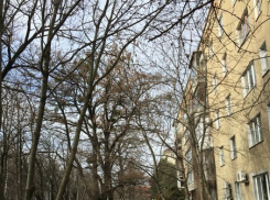 В Ставрополе неизвестные заминировали здание суда