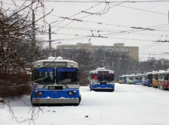 Ставропольское троллейбусное предприятие депутаты хотят спасти