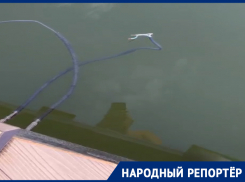 Купание с экстримом. На оголенные провода в озере Кисловодска пожаловались отдыхающие