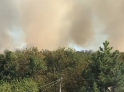 Сухая трава площадью 2 гектара загорелась в Ставрополе на Чапаевке 