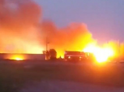 Полыхающий камыш напугал жителей Ставрополья