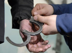 Нападавший на депутата ЛДПР Геннадия Ефимова сознался в преступлении