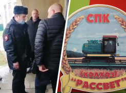 Колхоз на блюдечке: кто способствует рейдерскому захвату СПК «Рассвет» в Изобильненском округе