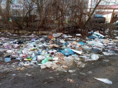А сор и ныне там: жители пожаловались на безобразную свалку в центре Ставрополя 