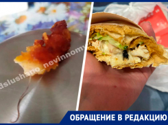 Муха и похожий на крысу наггетс поприветствовали жителей Ставрополья в общепите