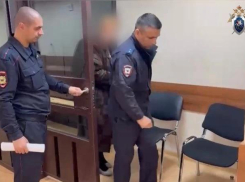 Зоозащитница получила 4 года колонии за отправленное порно искусанному собакой ребенку из Ессентуков