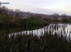 Весна пришла на Ставрополье: январское солнце разогреет воздух до +16