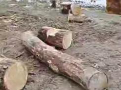 Вандалы разрушили купель в Невинномысске накануне Крещения 