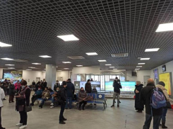 Миндор Ставрополья: Бросившая пассажиров в Минводах авиакомпания ничего не нарушила