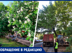 Пустить автобус по улице Розы Люксембург предложили власти Ставрополя