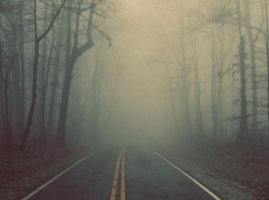 Дождливый и туманный день ожидается в среду на Ставрополье