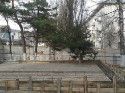 В Кисловодске строители «похоронили» дерево под слоем бетона