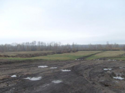 Неизвестные раскопали плодородные земли пайщиков в Петровском районе