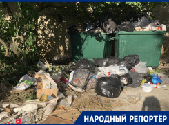 «Сделали раздолье для крыс»: жители Ставрополья негодуют маленьким количеством баков для мусора