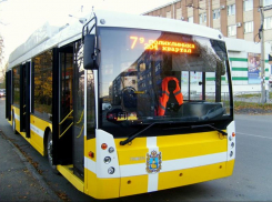 На дорогах Ставрополя могут появиться 40 новых троллейбусов 