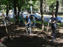 Пятый общегородской субботник прошел в Ставрополе 