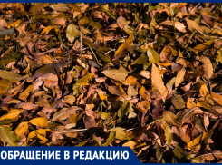 Почему в Ставрополе пахнет гарью и дымом: назвали возможную причину и дали алгоритм действий для горожан